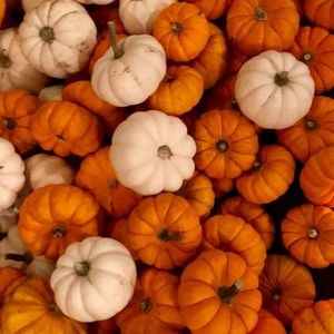 Meet your Posher, Aautumn